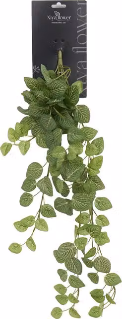 Xiya Flower Hanging Fittona Artificial Green Plant