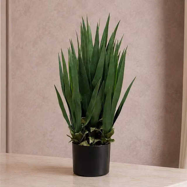 Leaf Premium Artificial Yucca Tree in Green, Height: 70 cm
