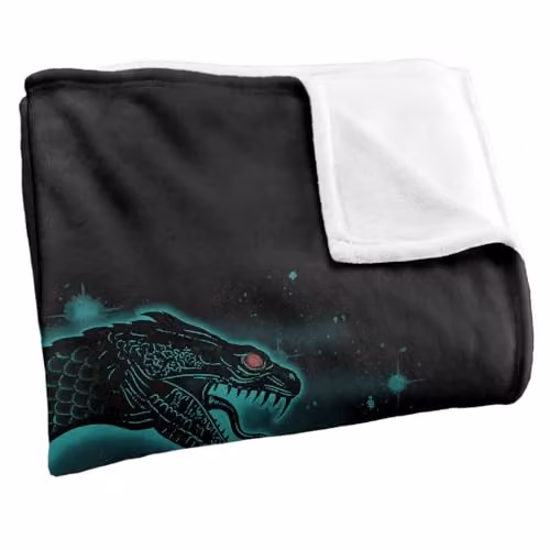 Warner Bros. Harry Potter Basilisk Stars Silky Touch Super Soft Fleece Throw Blanket, Multicolour – 2