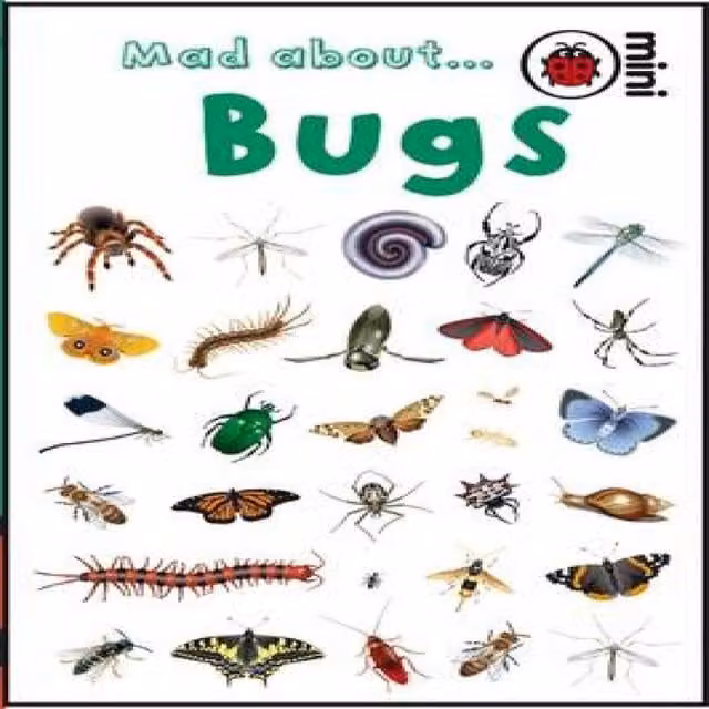Ladybird Mad About Bugs Hardback Multicolour Book