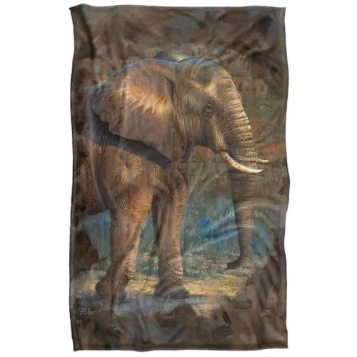 JQ Licensing Elephant Silky Touch Super Soft Fleece Throw Blanket, Multicolour, W: 91 cm, D: 147 cm