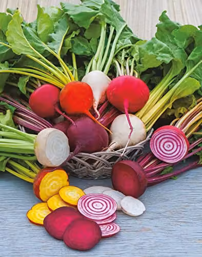 Mr Fothergill’s Mixed Beetroot Vegetable Seeds, Multicolour – 3