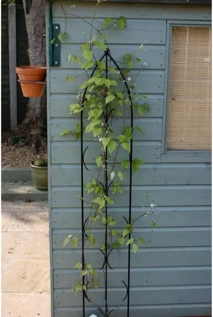 Poppyforge Single Gothic Steel Trellis Screen in Black, W: 24 cm, H: 180 cm