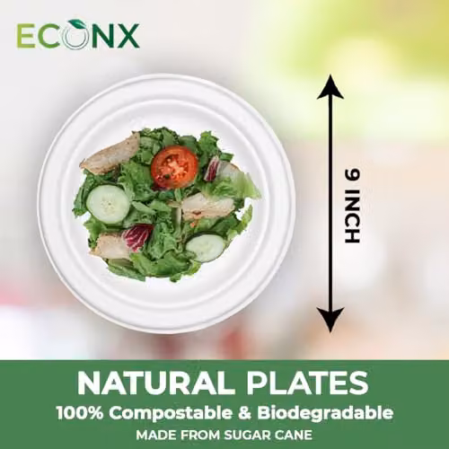 ECONX White Disposable Sugarcane Bagasse Dessert Plates, 22.86 cm, Pack of 100 – 1