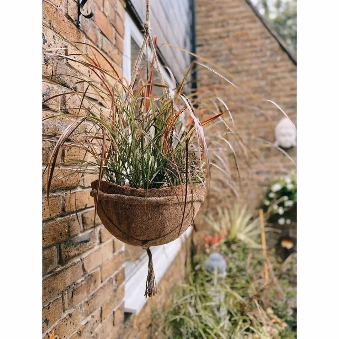 Coir Products Hanging Basket Planter Pack of 3, Brown, W: 35 cm – 3