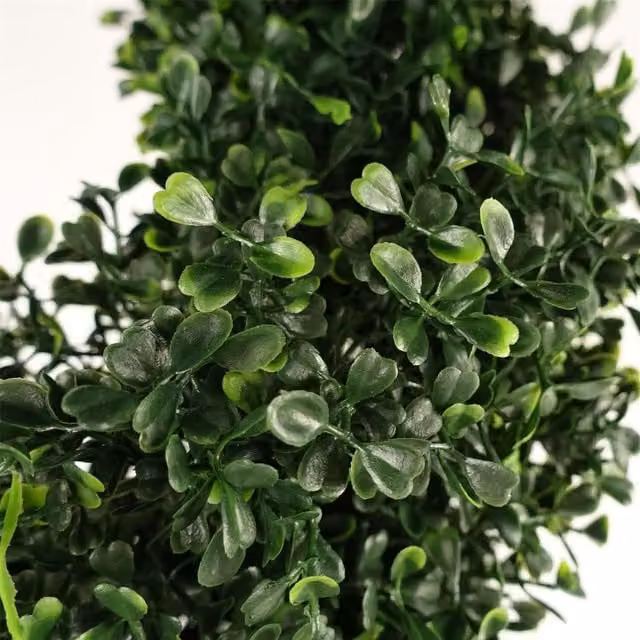 Botanik Green UV Resistant Spiral Boxwood Topiary Tree with Black Plastic Pot, Height: 120 cm