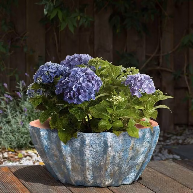 Wyld and Coco Blue Oval Terracotta Ceramic Plant Pot, 51 cm – 1