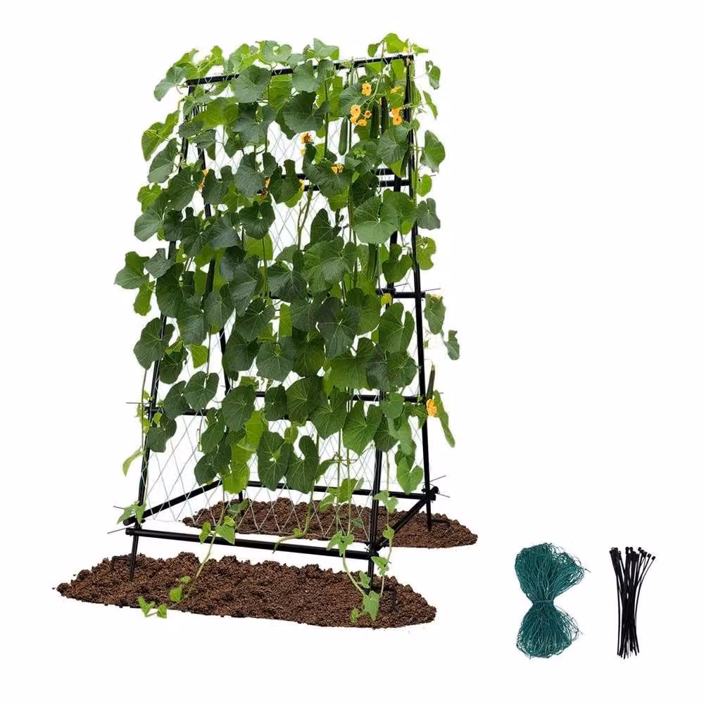 Hinsinc A Frame Black Garden Cucumber Trellis Support, W/D/H: 105 x 105 x 176 cm – 5