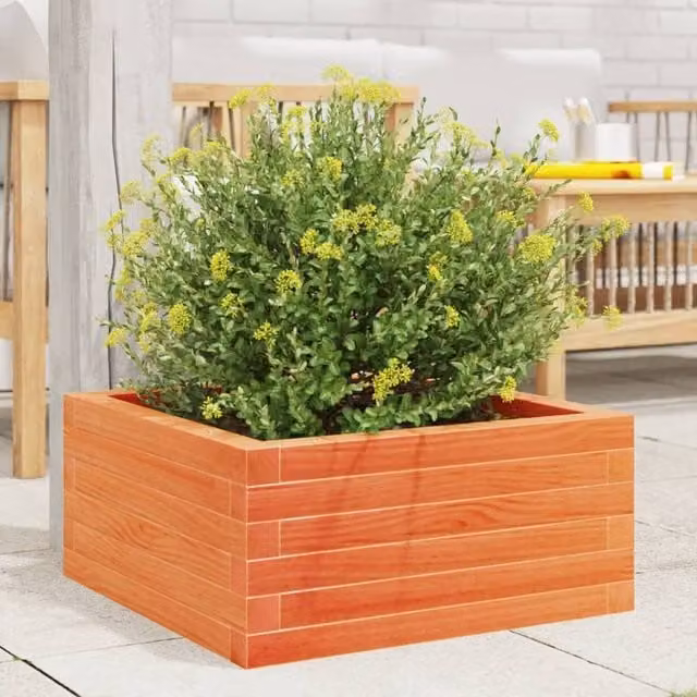 Berkfield Home Decorative Garden Planter in Brown Solid Wood, W/D/H: 60 x 60 x 23 cm