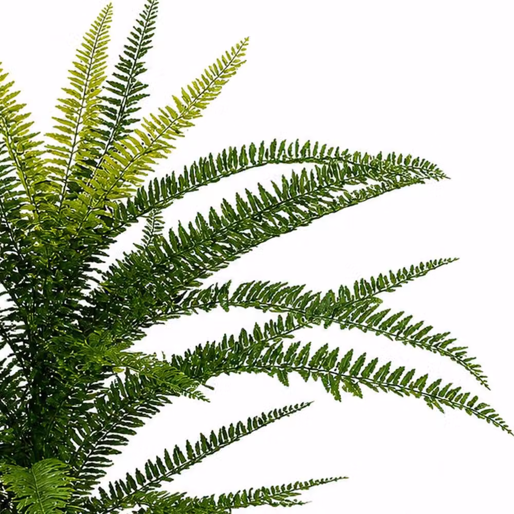 Leaf Premium Green Artificial Fire Retardant Plastic Boston Fern Plant – 2