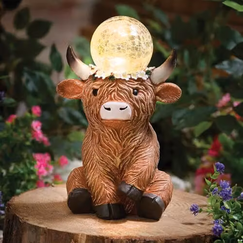 Coopers of Stortford Solar Highland Cow Garden Ornament with Glowing Crackled Glass Globe in Brown, White and Multicolour Polyresin – 2
