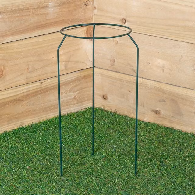 Samuel Alexander Tom Chambers Small Metal Herbaceous Garden Plant Support Ring in Dark Green, W/D/H: 40 x 40 x 20 cm – 1