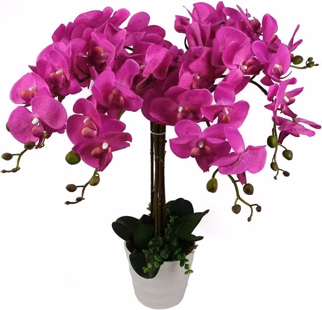Pink Artificial Orchid Potted Plant in a White Plastic Pot for Tabletop Display