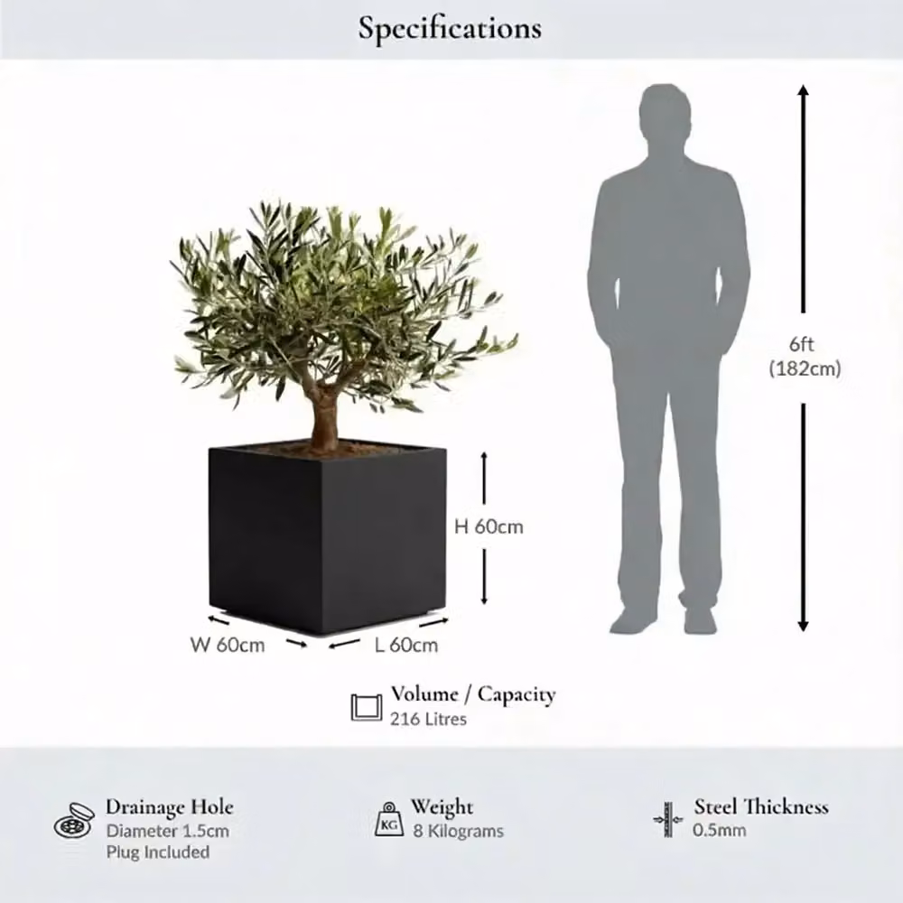 Tulipy Galvanised Steel Square Planter, Matte Black, W/D/H: 60 x 60 x 60 cm – 3