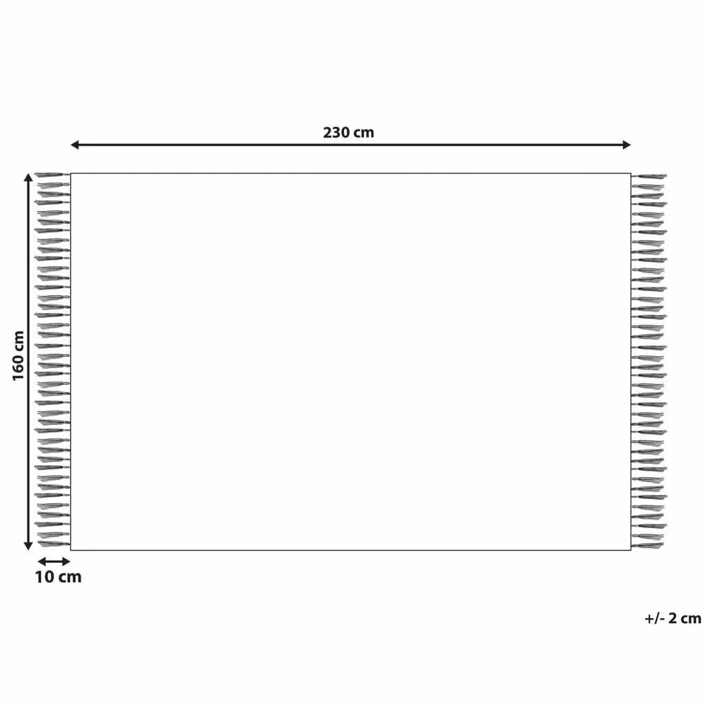 Wyld and Coco Grey Flat-Woven Indoor-Outdoor Area Rug with Fringes, W: 160 cm, L: 230 cm – 2