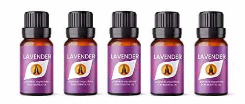 Aroma Energy Lavender Pure Essential Oil, 5 x 10ml Bottles, Purple