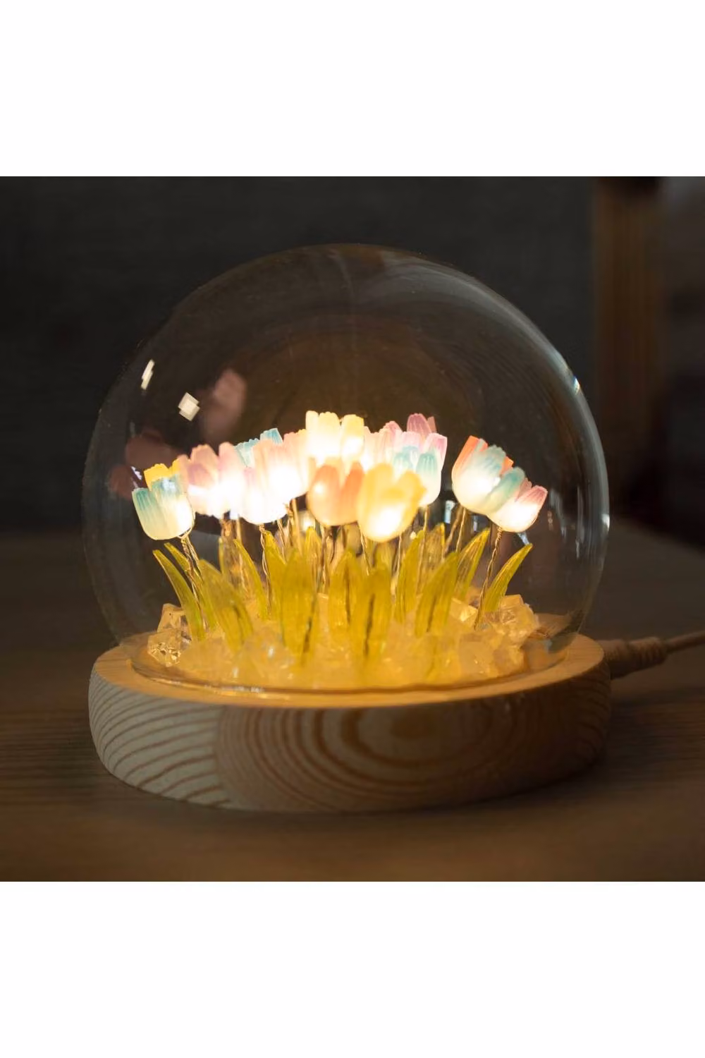KDMD Floral Glow Garden Dome with 20 Multi-colour Tulips and LED USB Light – 2