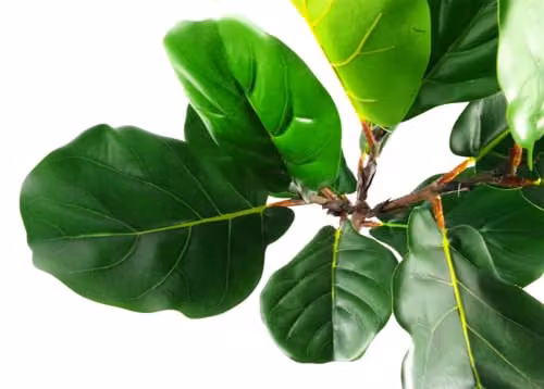 Leaf Design Green Tropical Artificial Potted Plant for Tabletop, H 60 cm x W 40 cm x D 40 cm – 2