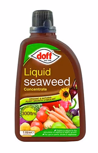 Doff Concentrated Liquid Seaweed Plant Tonic, 1 l, Green