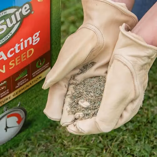Gro-sure Fast Acting Lawn Seed for 10sq.m – 2