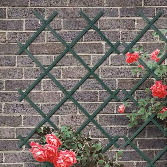 Garden Mile Expanding Wooden Trellis Support, Green, W: 60 cm, H: 180 cm