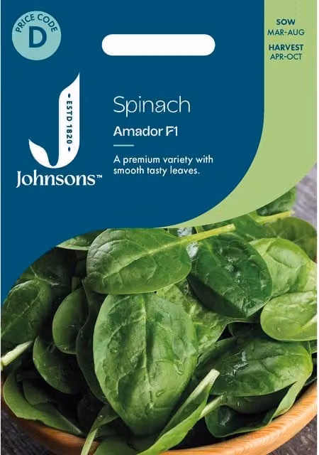 Johnsons Seeds Amador Spinach Vegetable Seeds, Green