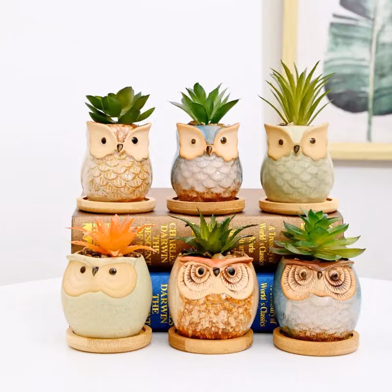 Simpa 6-Piece Assorted Shaped Owl Ceramic Plant Pots with Bamboo Base, Multicolour – 2