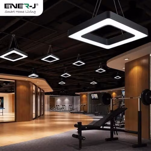 ENER-J Modern LED Ring Pendant Light in Black with Remote Control, 80 cm