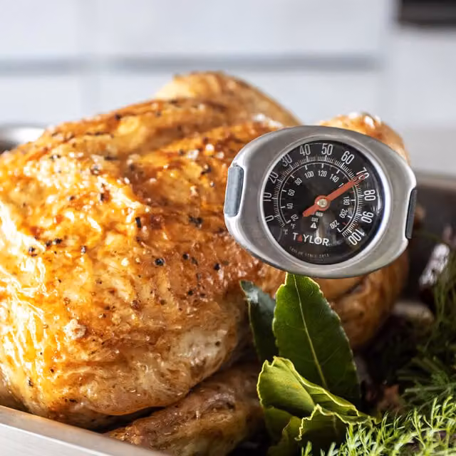 Taylor Pro Stainless Steel Meat Thermometer in Black
