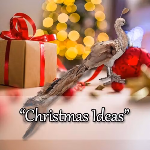 VFM e-Store Gold Peacock Christmas Decoration, W/H: 21 x 14 cm – 4