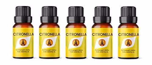 Aroma Energy Citronella Pure Essential Oil, 5 x 10ml Bottles, Transparent – 1