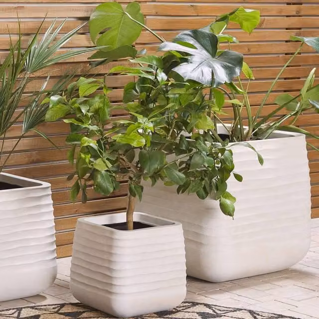 Wyld and Coco White Plastic Planter, W: 50 cm, D: 49 cm, H: 49 cm – 1
