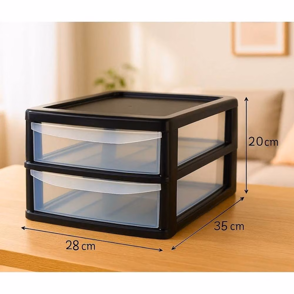 FLAVORA A4 2 Drawer Plastic Storage Unit in Black – 2