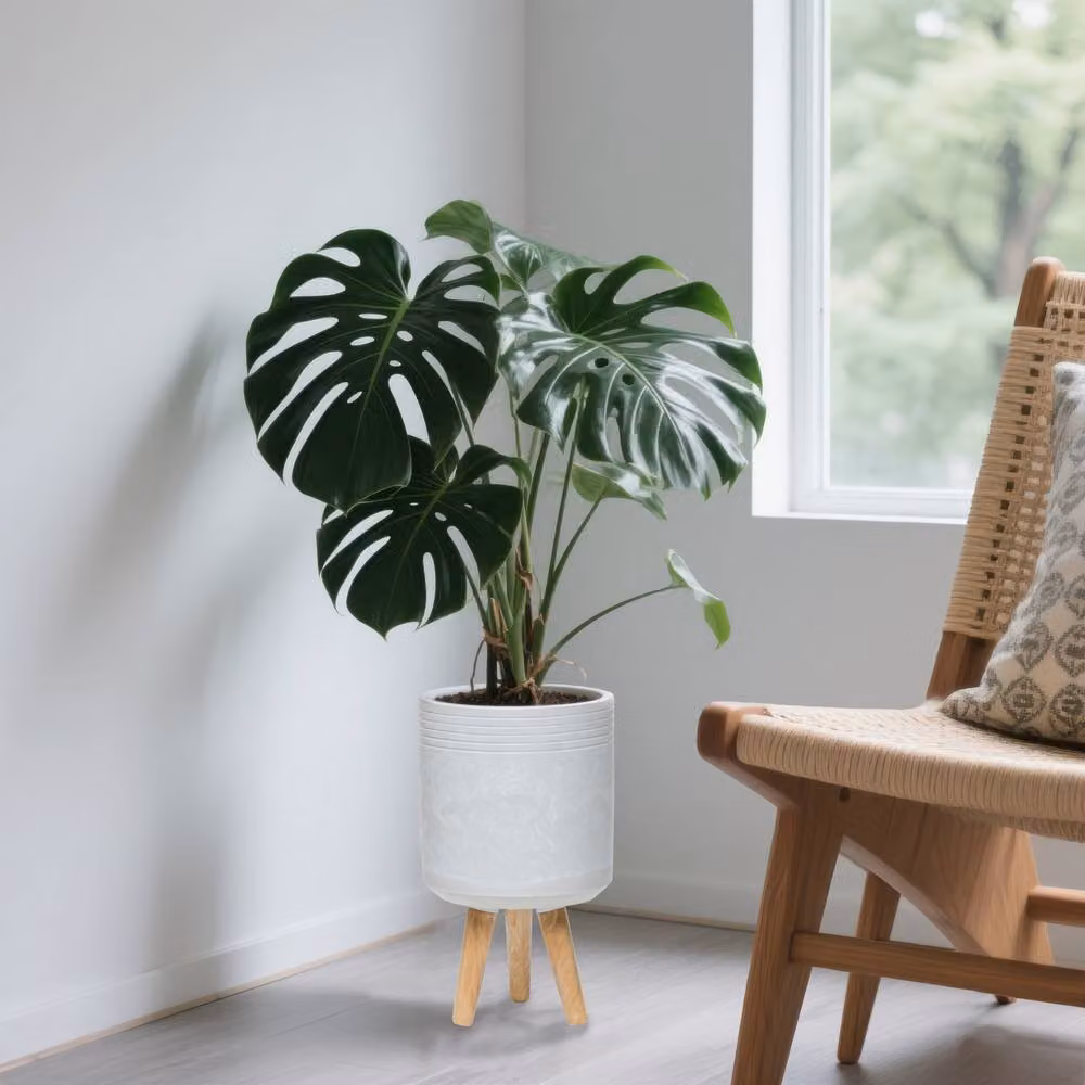 Simpa Urban 12L Round Plastic Planter with Wooden Legs in White, H 40 cm x Dia 25 cm – 2