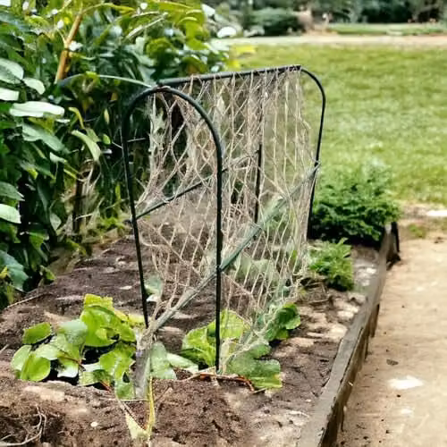 EAZILIFE Green Garden Pea Hoop Arched Support Frame with Natural Jute Netting, W/D/H: 100 x 34 x 100 cm