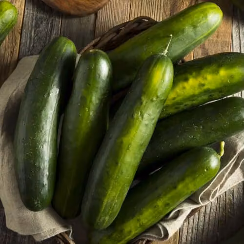 Thompson & Morgan Cucumber Marketmore Seeds, 12 Seeds per Packet – 2