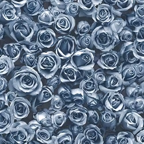 Muriva Rosalee Blue Floral Botanical Wallpaper in Blue and Black