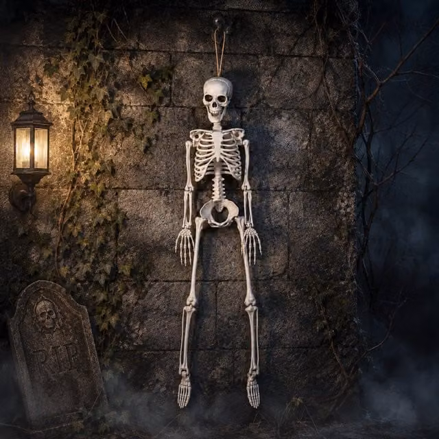 Samuel Alexander White Posable Full Body Halloween Skeleton Decoration with Movable Joints, Height: 90 cm