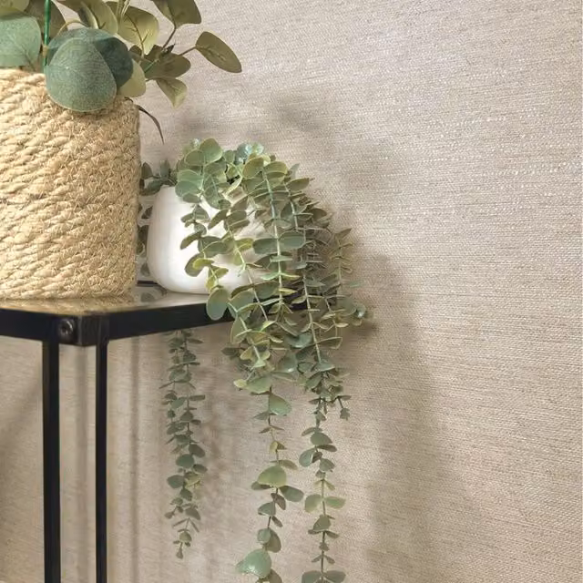 Belgravia Decor Carlotta Classic Plain Satin Gloss Decor in Beige