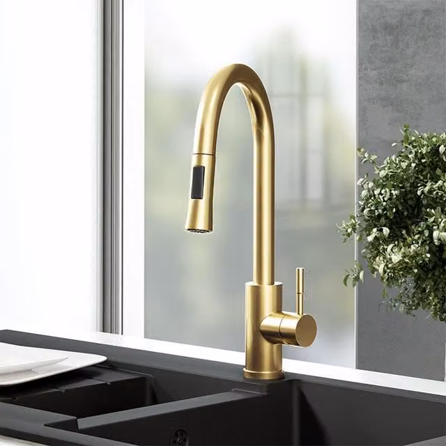 Nes Home Brushed Brass Modern Pull Out Kitchen Mixer Tap in Gold – 1