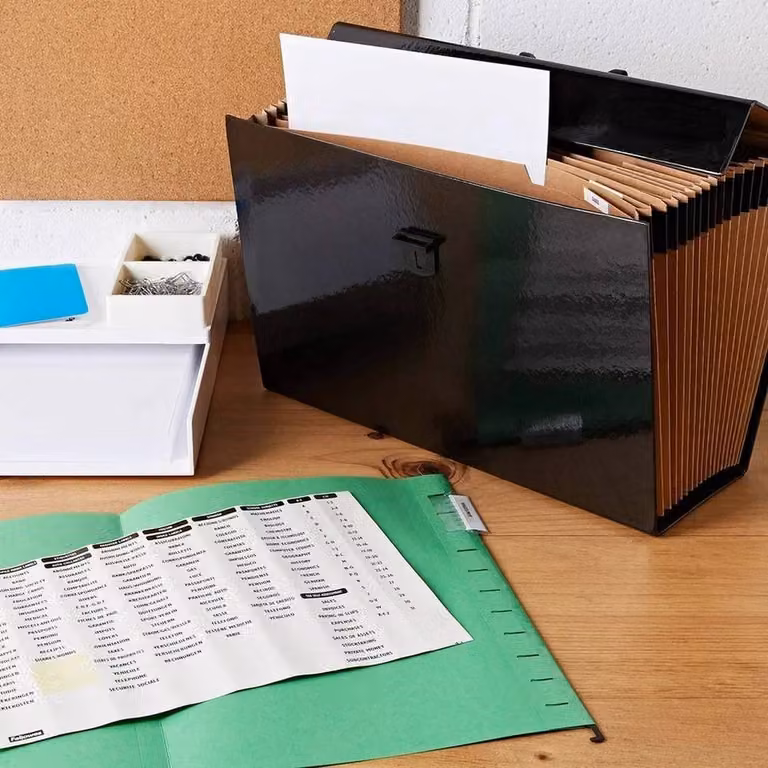 FLAVORA Black 13 Pocket Expanding A4 Document Box File Organiser, Width: 100 cm, Depth: 15 cm