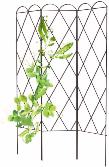 Primrose Rustic 3 Panel Expandable Pea Trellis and Plant Support in Brown, Height: 162 cm