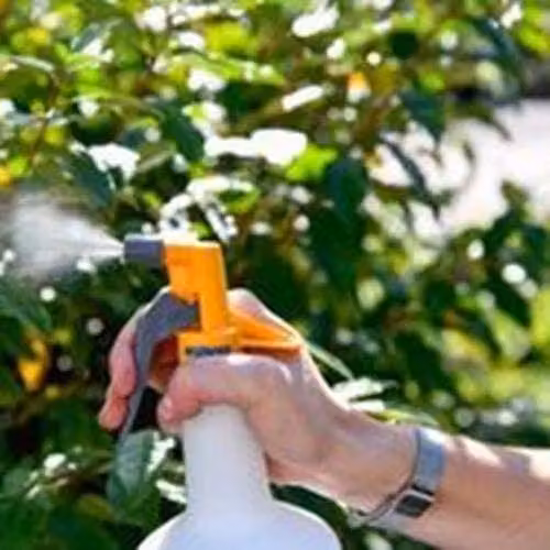 Hozelock Spraymist 1 l Transparent – 2