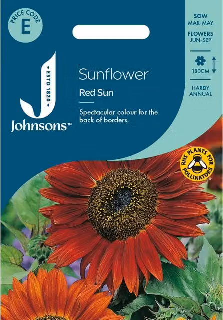 Johnsons Seeds Red Sun Sunflower Seeds, Red Ornamental Flower Seeds