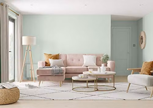 Dulux Matt Emulsion Paint for Walls and Ceilings in Willow Tree Green, 5 l – 3