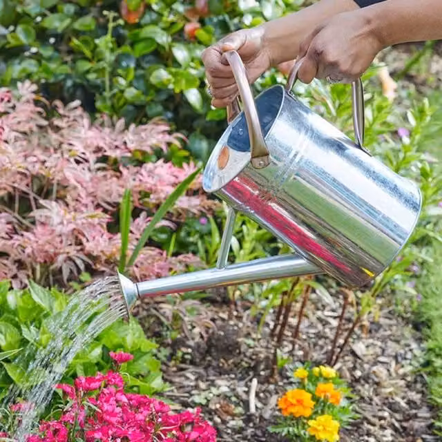 Garden Mile Rose Design Galvanised Steel Metal Watering Can, Silver, 4.5 l