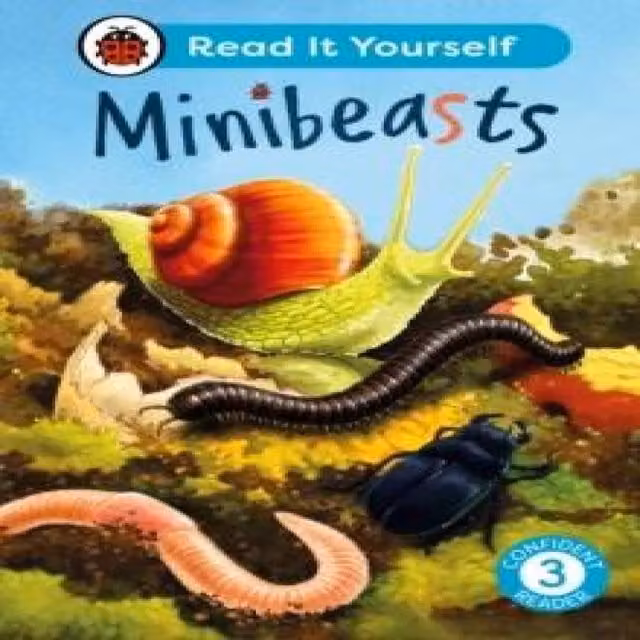Ladybird Minibeasts: Read It Yourself Level 3 Confident Reader Hardback Book, Multicolour