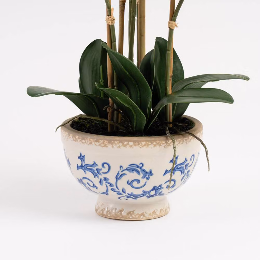 Scottish Everlastings Ltd Real Touch Cream Phalaenopsis Orchid in Ceramic Pot, Height: 54 cm – 2