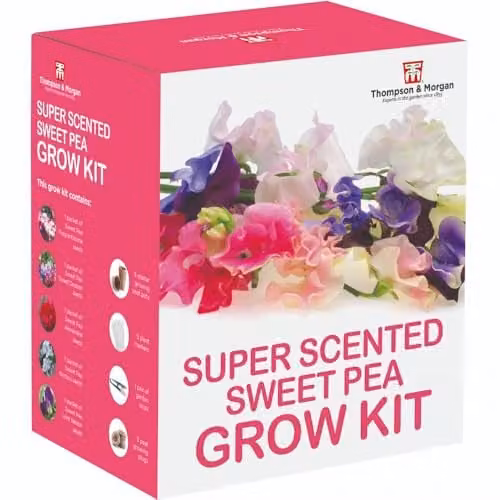 Thompson & Morgan Sweet Pea Blooming Bouquet Grow Kit with 5 Fragrant Varieties in Red and Multicolour