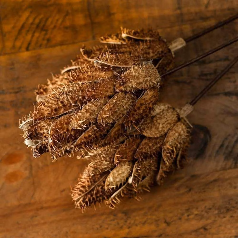 Lemon Pavilion Dried Protea Artificial Plant Bouquet, Brown, W: 12 cm, D: 12 cm, H: 60 cm – 2